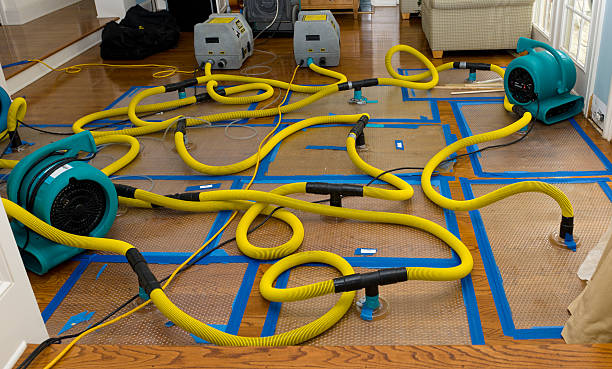 Professional Sewage Cleanup technician working in Warsaw, MO